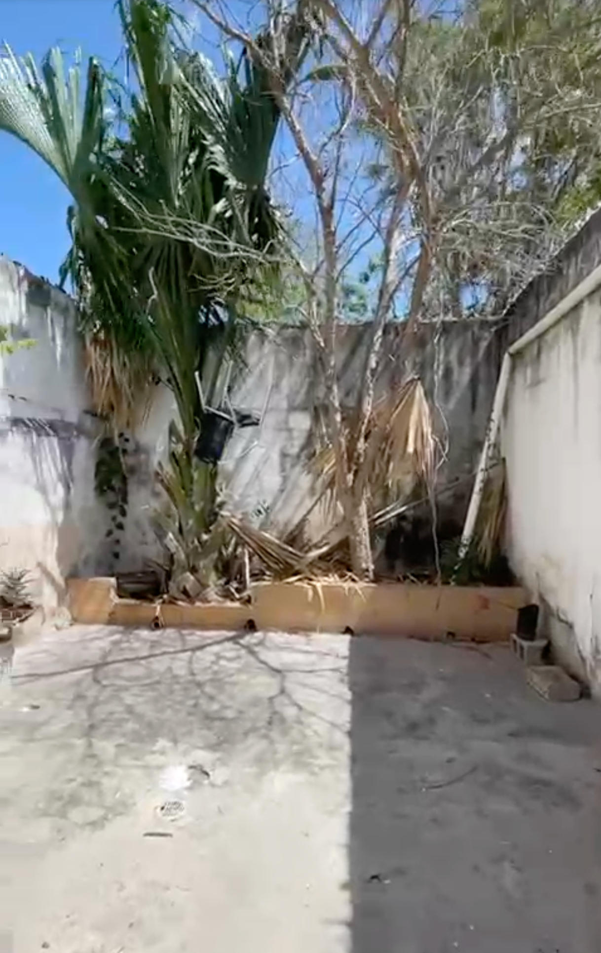 Vivienda antes de la rehabilitación, vista 1